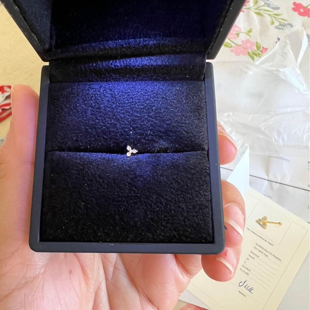 Dimond nose pin